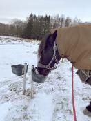 Frostfri drikkeautomat til k�er og heste - 40 cm