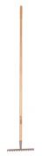 Galax rive, 12-tands/30,5 cm