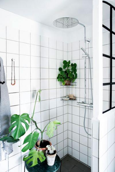 Damixa Eliza komplet brusesystem &Oslash;300 - Krom